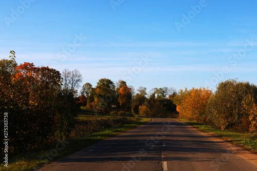 View of the road and trees on a sunny clear day
