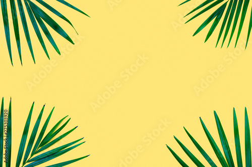 Green tropical palm leaves on yellow background. Minimal nature. Summer Styled. Creative flat lay image with copy space.