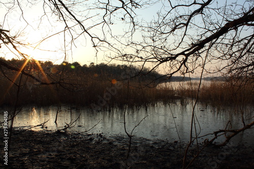 Soleil d'hiver