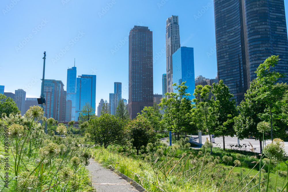Fototapeta premium Green Park in the Streeterville Neighborhood of Chicago with Downtown Buildings