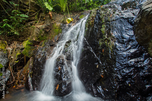 Fototapeta Naklejka Na Ścianę i Meble -  Ton Aow Yon Waterfall rich natural resources,in the forest,asia tropical areaat Island Phuket Thailand.