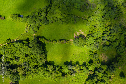 Fotografie, Tablou Aerial drone view of beautiful green fields and farmland in rural South Wales