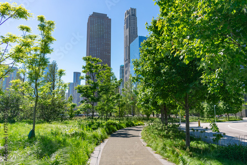 Fototapeta Naklejka Na Ścianę i Meble -  Green Curving Path at a Park in the Streeterville Neighborhood of Chicago with Downtown Buildings