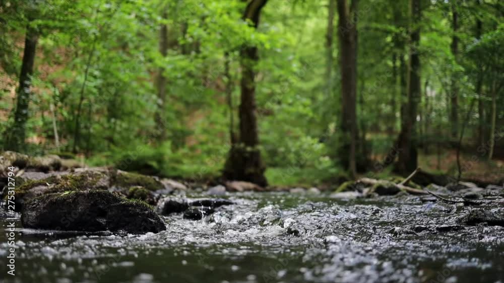 SLOW MOTION. HD. Water level view of shallow river running over submerged rocks, in lush green forest SLOW MOTION. HD. Water level view of shallow river running over submerged rocks, in lush green forest