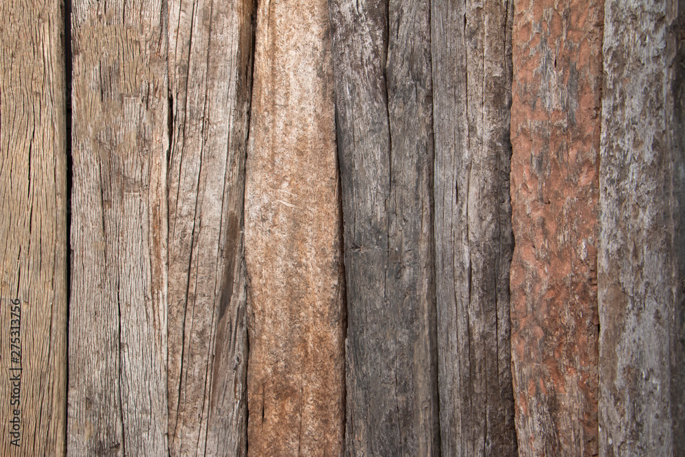 Texture of wood, log background.