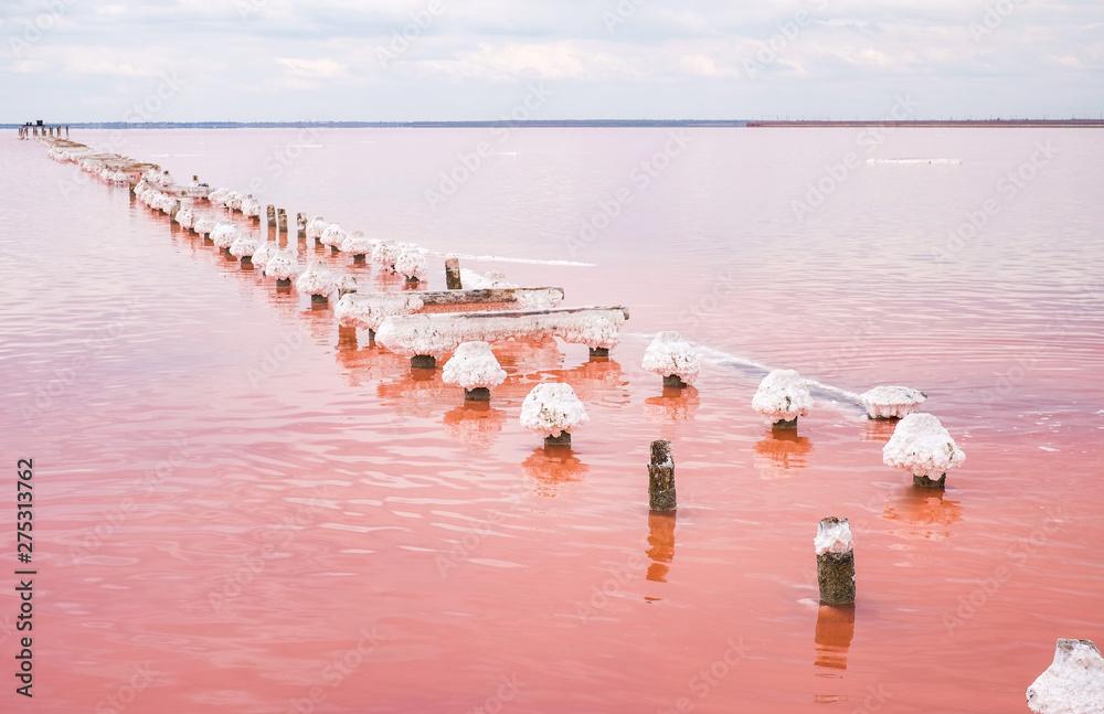 Fototapeta premium Pink salt lake in Crimea