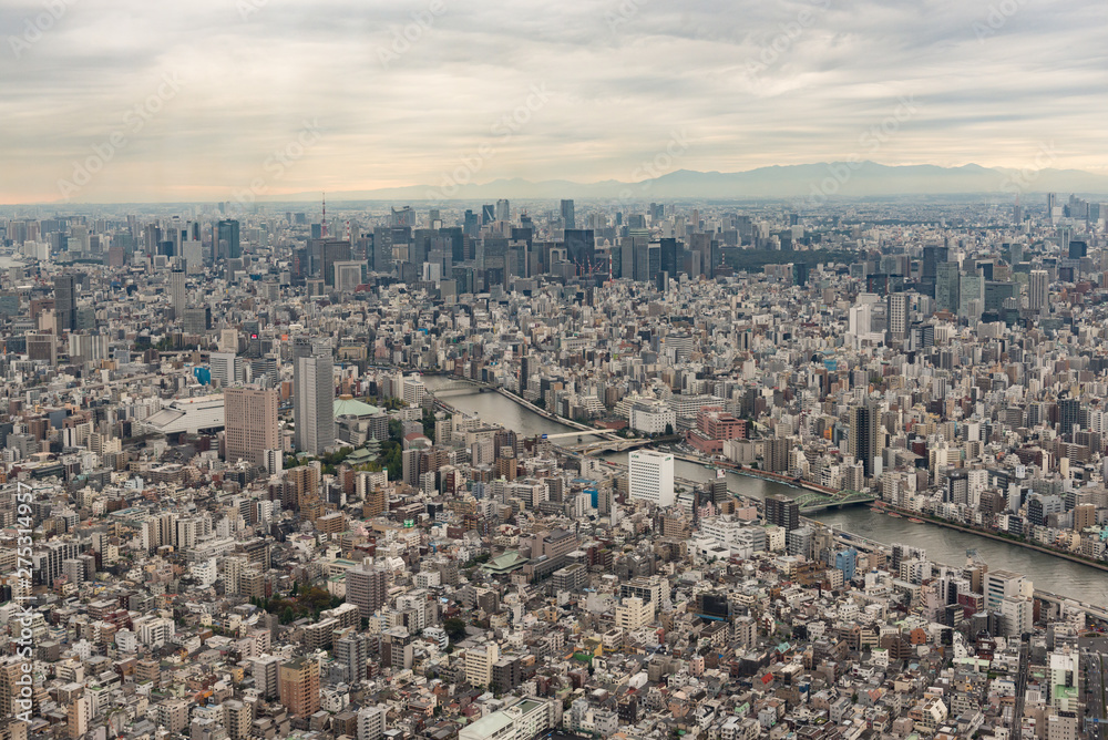 Fototapeta premium Tokyo Cityscape