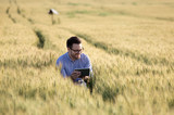 Farmer with tablet in barley field
