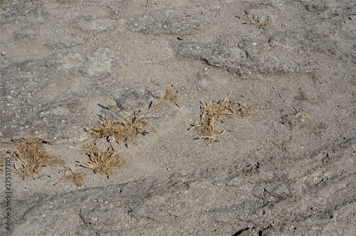 stone desert land