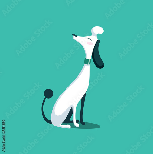 dog cute fancy elegant