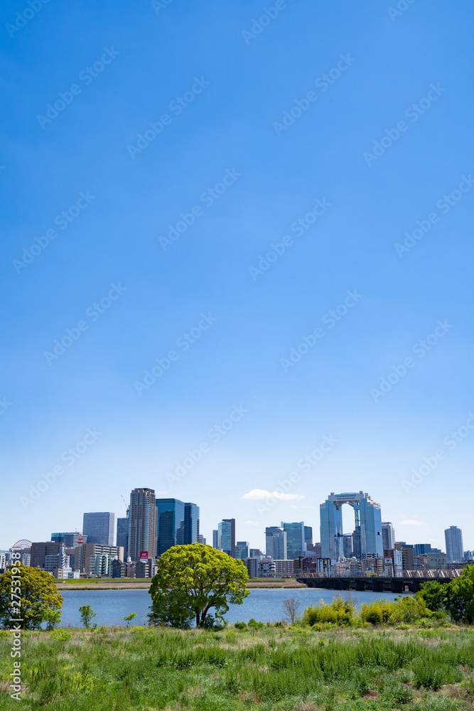 Obraz premium City Landscape in Osaka