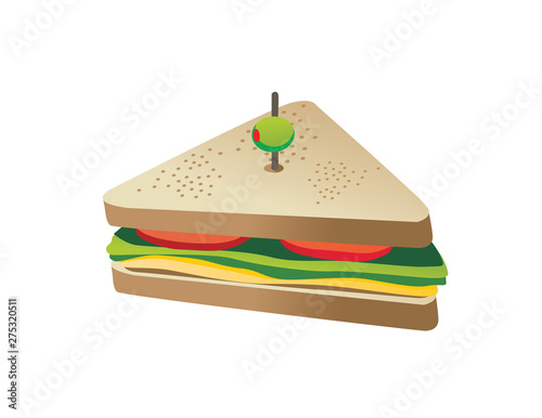 sandwich food illustration isolated