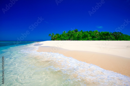 Tropical Island with a paradise beach and palm trees photo