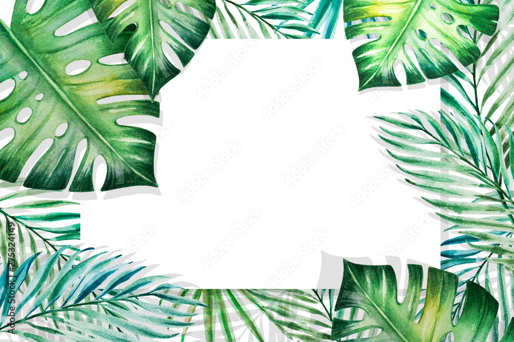 Beautiful frame of tropical leaves. Monstera, palm. Watercolor painting. Exotic plant drawing. Copy and text space. Botanical composition. Greeting card. Painted background. Hand drawn illustration.