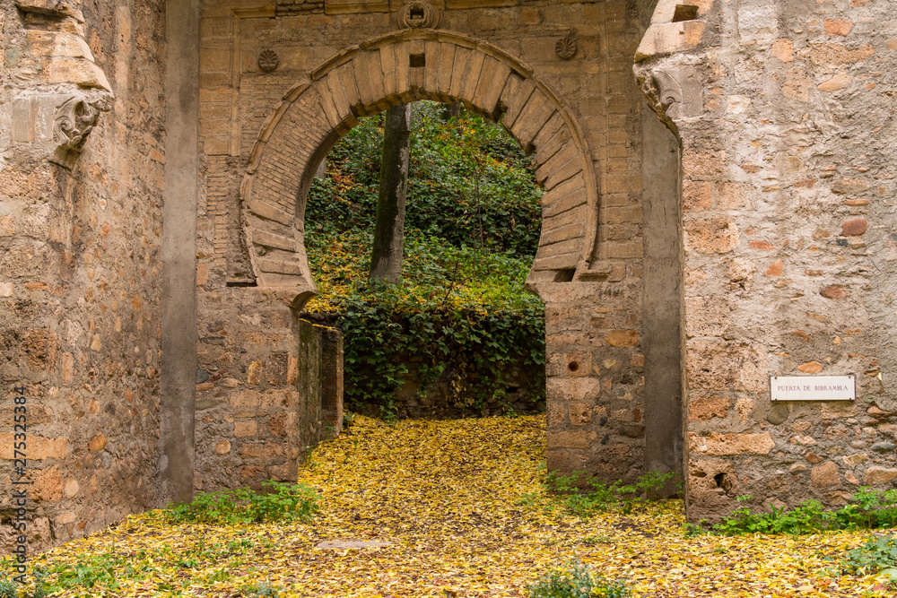 Forest of the Alhambra in Autumn, a special place in Granada (Spain) Forest of the Alhambra in Autumn, a special place in Granada (Spain)
