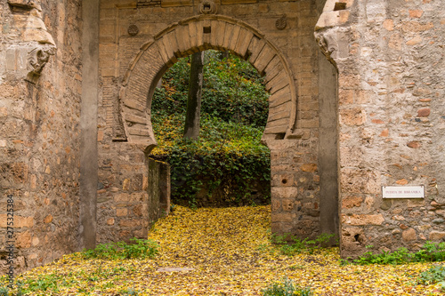 Forest of the Alhambra in Autumn, a special place in Granada (Spain)