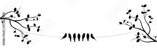 Birds On Wire on two branch...