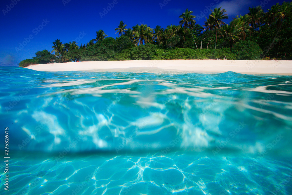 Fototapeta premium Tropical Island with a paradise beach and palm trees