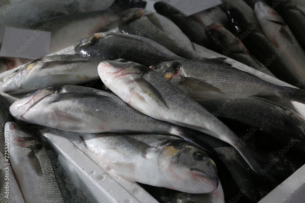 Obraz premium Different sea fish at a fish market in Croatia