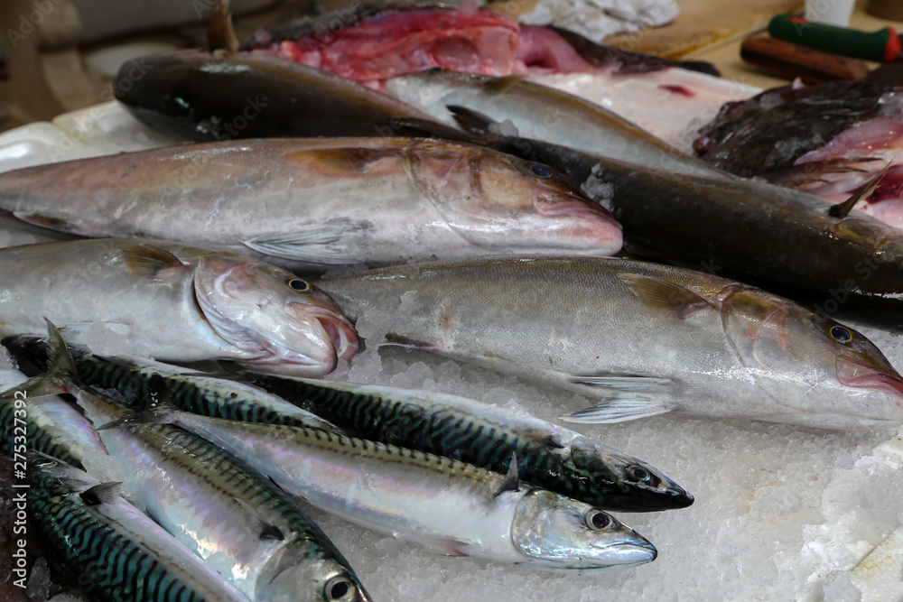 Fototapeta premium Different sea fish at a fish market in Croatia
