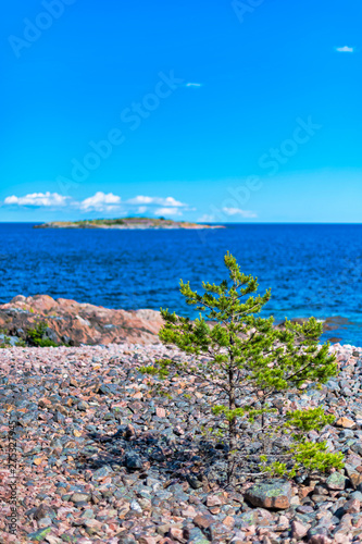 Coastline with stones and a...