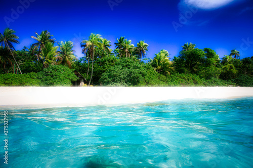 Tropical Island with a paradise beach and palm trees © Marc Stephan