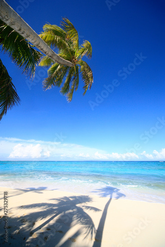 Tropical Island with a paradise beach and palm trees