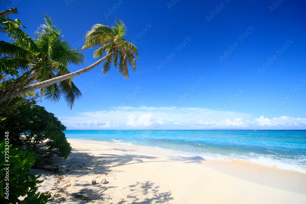 Tropical Island with a paradise beach and palm trees