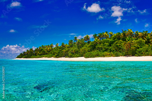 Fototapeta Naklejka Na Ścianę i Meble -  tropical island in the sea