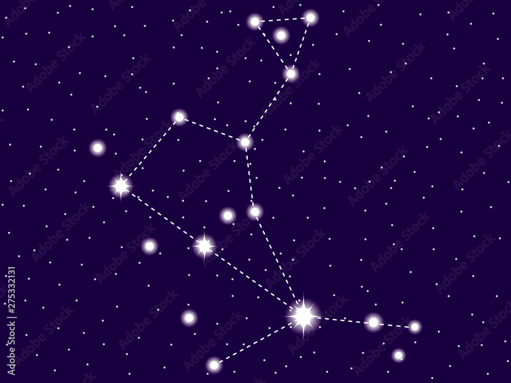 Bootes constellation. Starry night sky. Vector illustration Stock ...