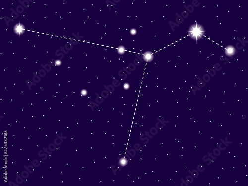 Columba constellation. Starry night sky. Vector illustration