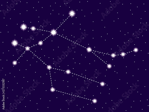 Gemini constellation. Starry night sky. Vector illustration