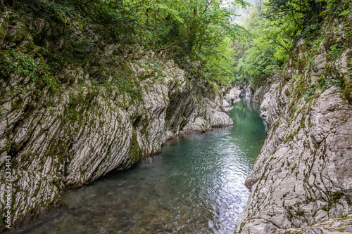 Mountain river in a stone gorge with a green forest on the slopes.