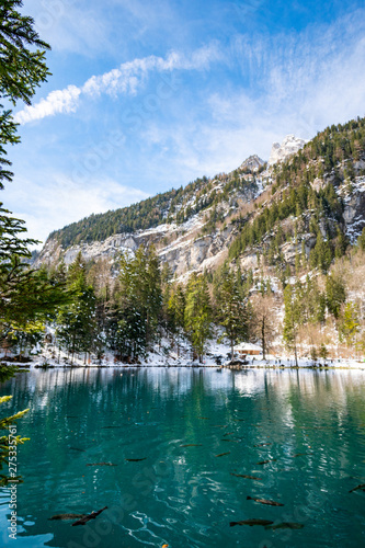 Blausee im Berner Oberland