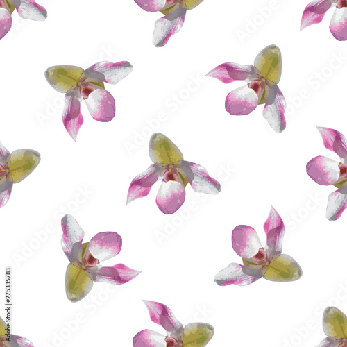 seamless pattern with orchid flowers on white background
