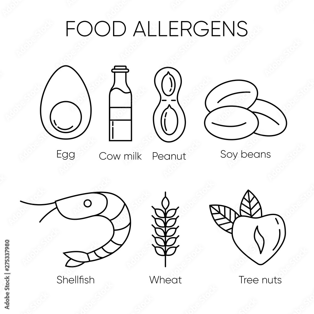 Common food allergens set of vector linear icons with egg, cow milk, peanut, soy beans