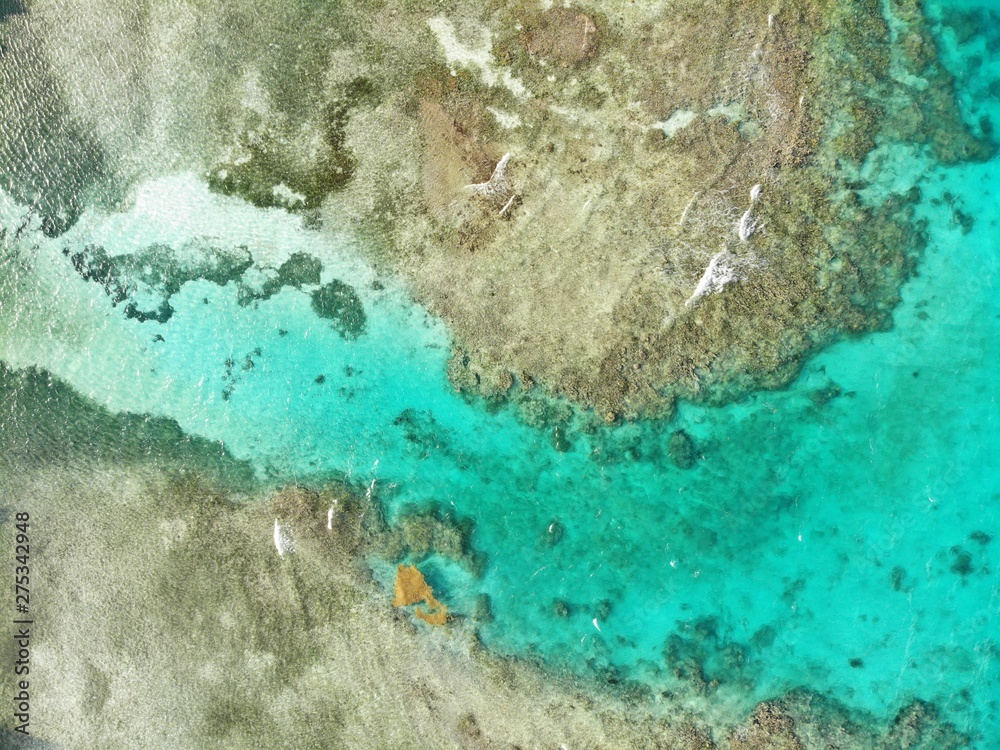 Fototapeta premium created by dji camera