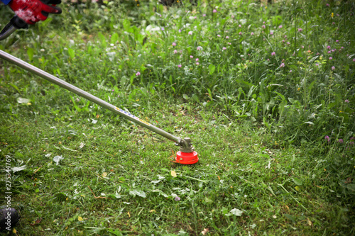 The gardener slams grass in the garden with a Brushcutter photo