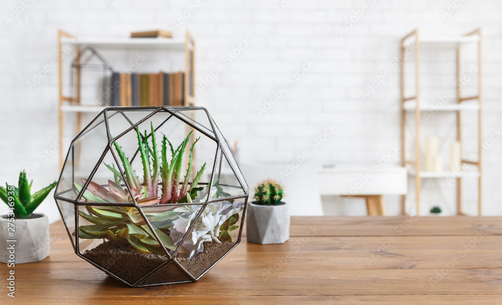 Indoor plants in pots and florarium vase . House plants in interior concept. Indoor plants in pots and florarium vase . House plants in interior concept.