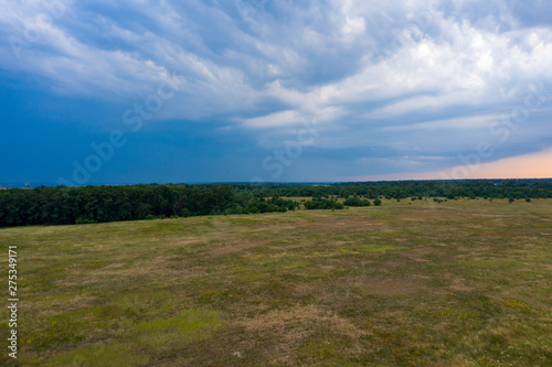 wild field  view from above