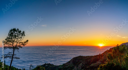 Setting Sun  Clouds  Mountain  Tree