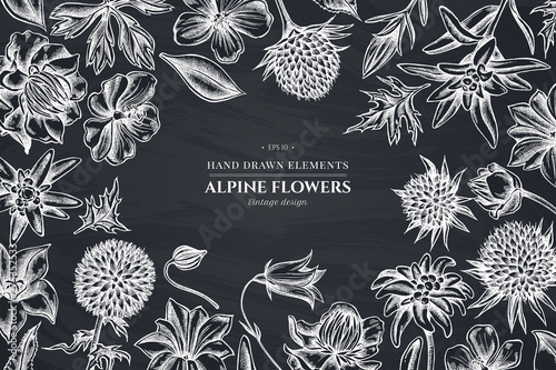 Floral design with chalk bellflower, edelweiss, globethistle, globeflower, meadow geranium, gentiana