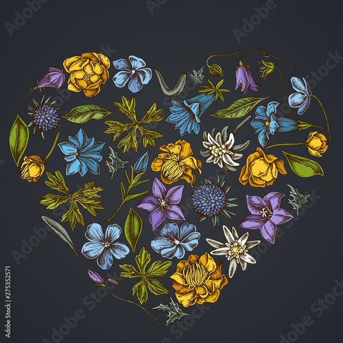 Heart floral design on dark background with bellflower, edelweiss, globethistle, globeflower, meadow geranium, gentiana