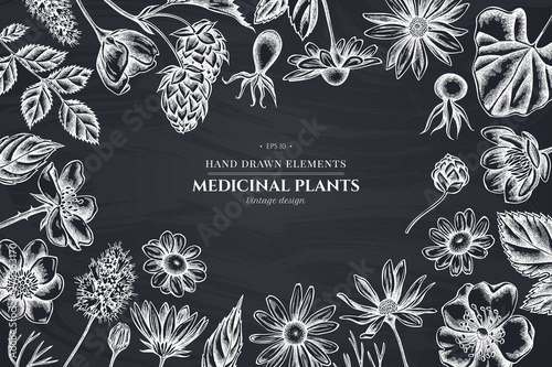 Floral design with chalk celandine, chamomile, dog rose, hop, jerusalem artichoke, peppermint