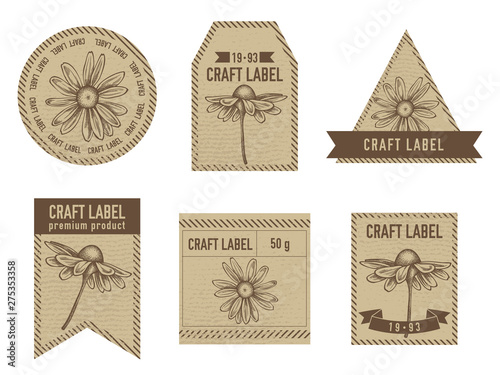 Craft labels with chamomile stock illustration
