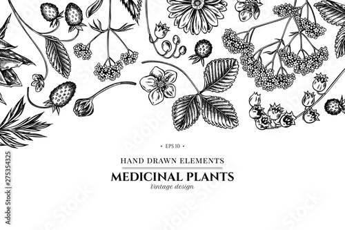 Floral design with black and white aloe, calendula, lily of the valley, nettle, strawberry, valerian
