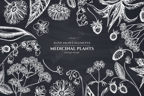 Floral design with chalk aloe, calendula, lily of the valley, nettle, strawberry, valerian