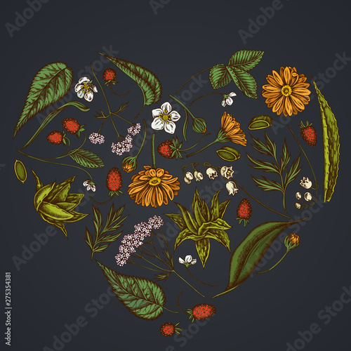 Heart floral design on dark background with aloe, calendula, lily of the valley, nettle, strawberry, valerian