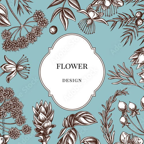 Badge over design with angelica, basil, juniper, hypericum, rosemary, turmeric