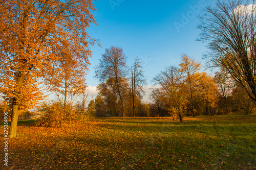 Autumn landscape Beautiful golden autumn landscape in the park. The forest is blooming yellow
